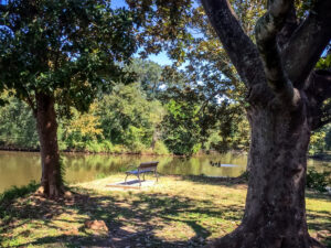 Park bench in Audubon Park New Orleans